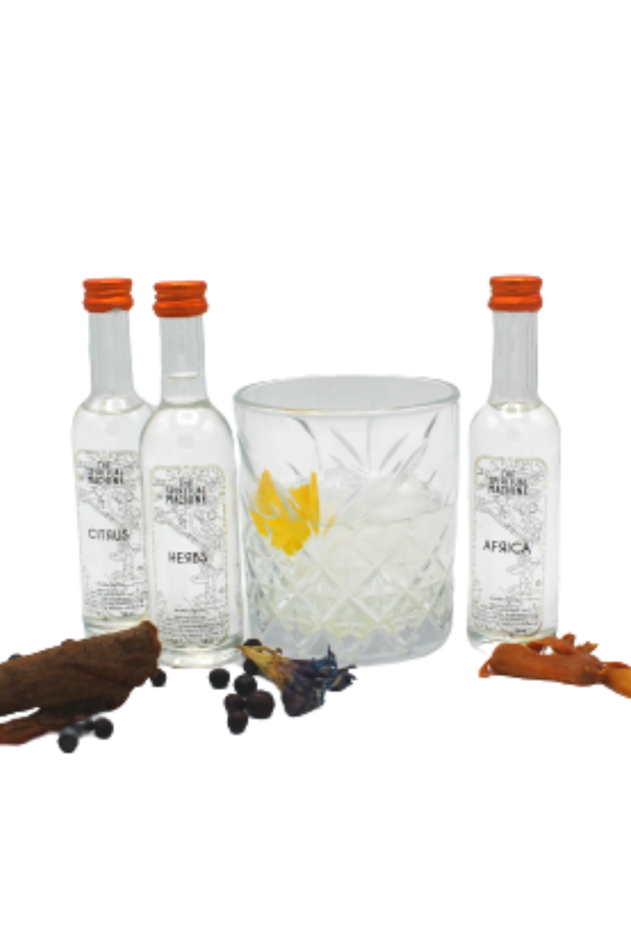 CREA IL TUO GIN (Basi, Note e Origini)